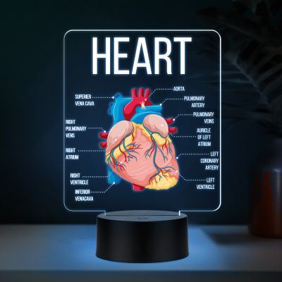 3D Illusion Anatomical Heart Diagram LED Lamp with 7 Color Changing Light Gift for Medical & Science Student Home, Clinic, Hospital & Study Desk Table Decor